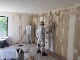 East Williston, NY Mold Removal Services Company